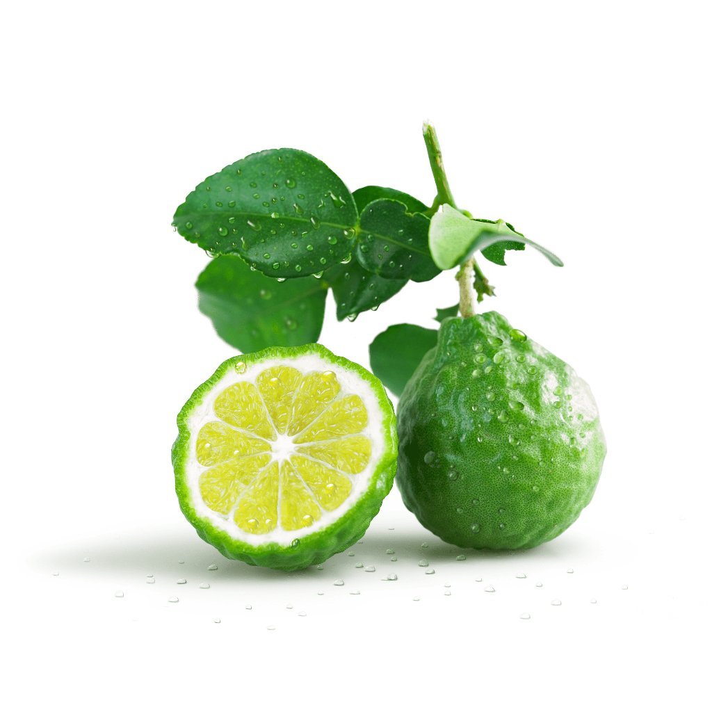 The Innovator: Fresh Rain + Bergamot Scented Deodorant, Deodorant Without Aluminum, Charcoal Deodorant